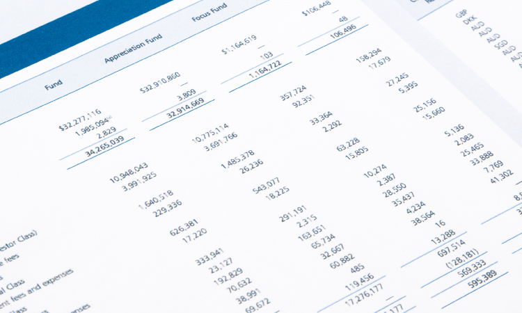 Reading Financial Statements (or Solutions for Insomnia)