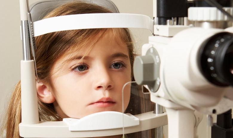 #2513 – MICHIGAN – SOUTH CENTRAL MICHIGAN – SOLD